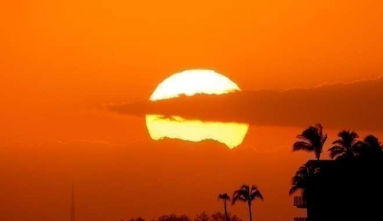 ���� ���� ������ �� ���� ������