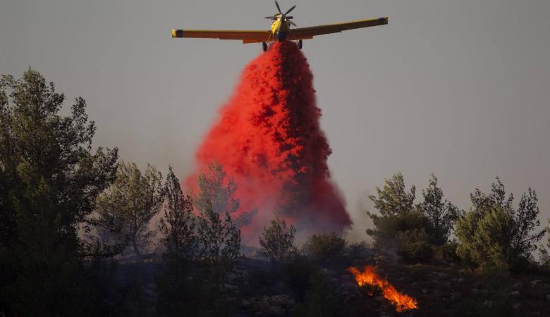 ���� ���� ������ �� ���� ������