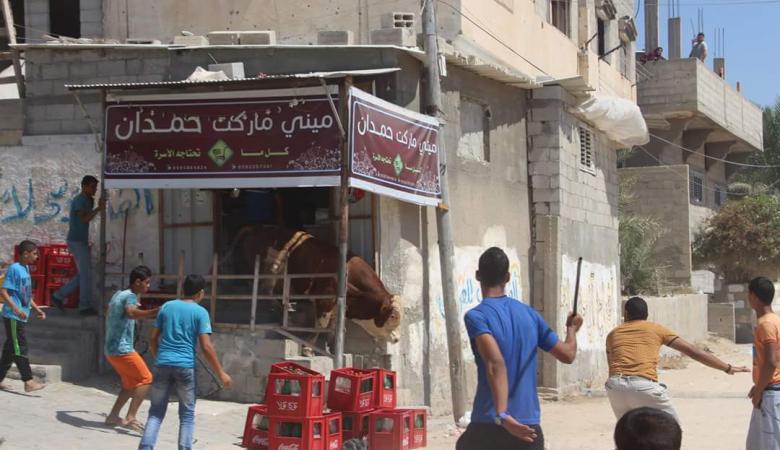 ���� ���� ������ �� ���� ������