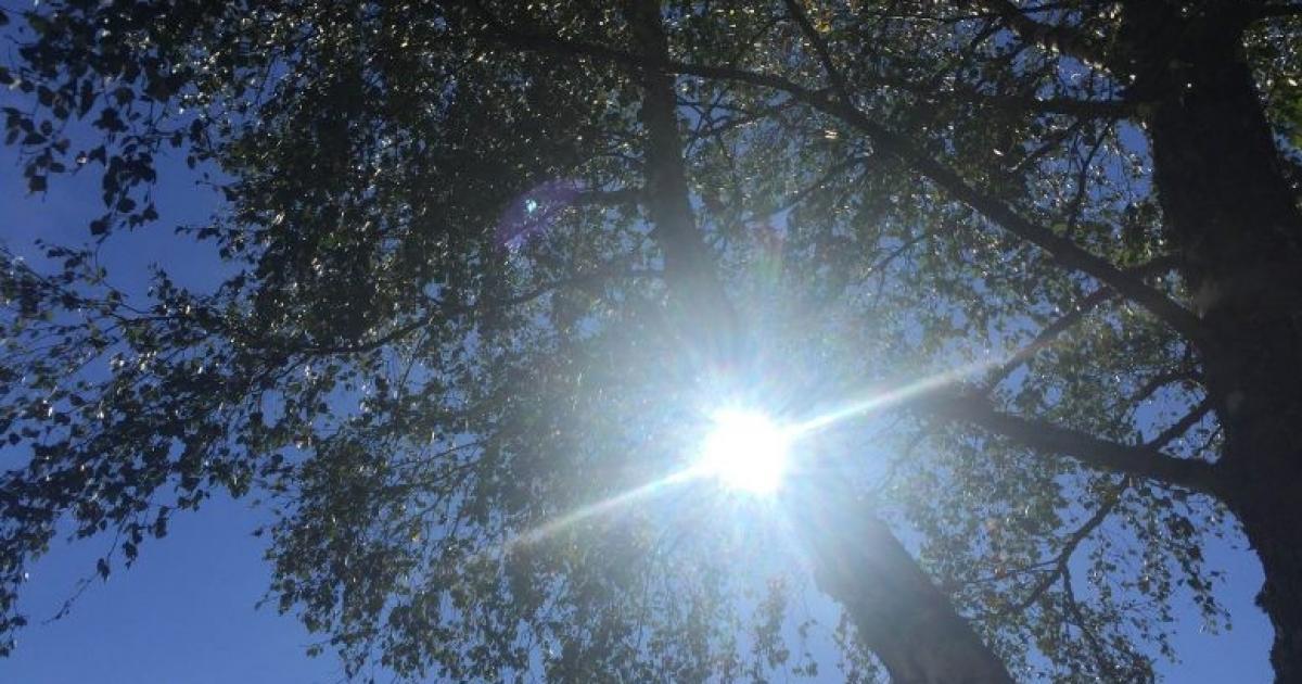 طالع حالة الطقس حتى الاحد المقبل