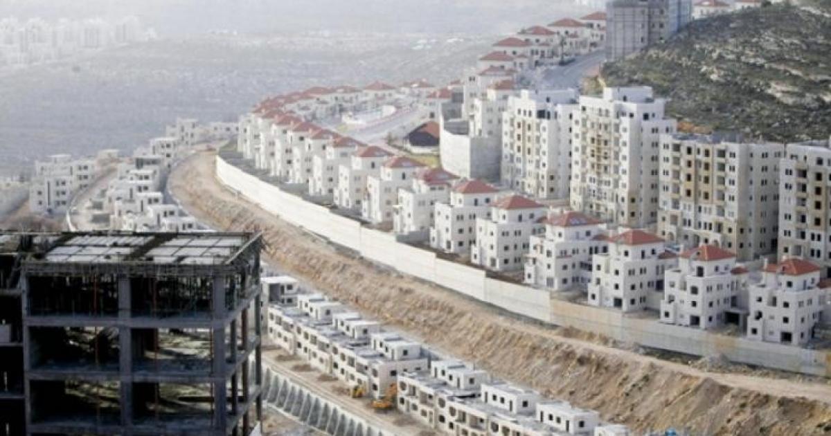 منظمة التحرير الفلسطينية تطالب المجتمع الدولي بوقف الاستيطان وارهاب المستوطنين