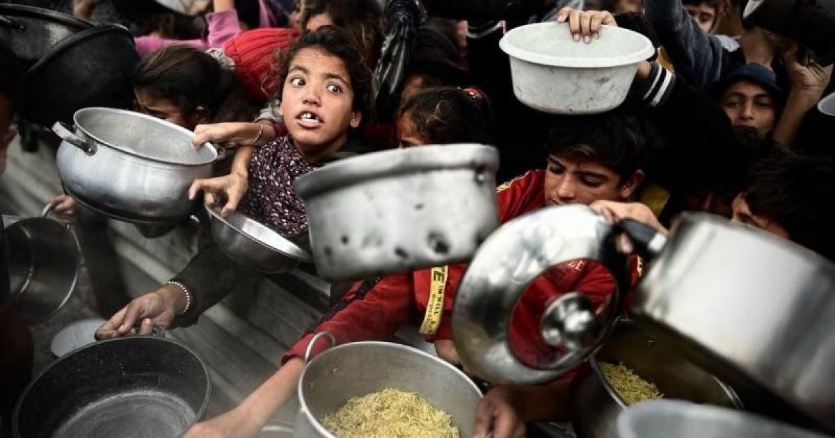 وزيرة التنمية: الاحتلال يعيد هندسة التجويع في غزة والأسعار ارتفعت 2000%