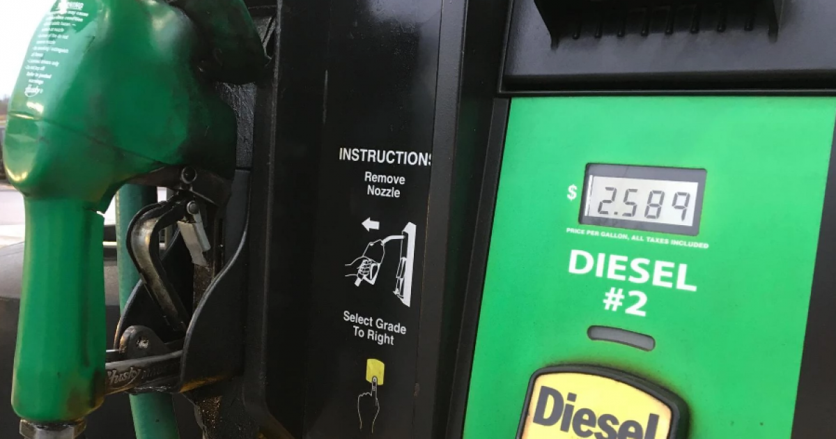 في شهر واحد.. كيف تبخرت 5 لترات من كل 100 شيكل سولار؟