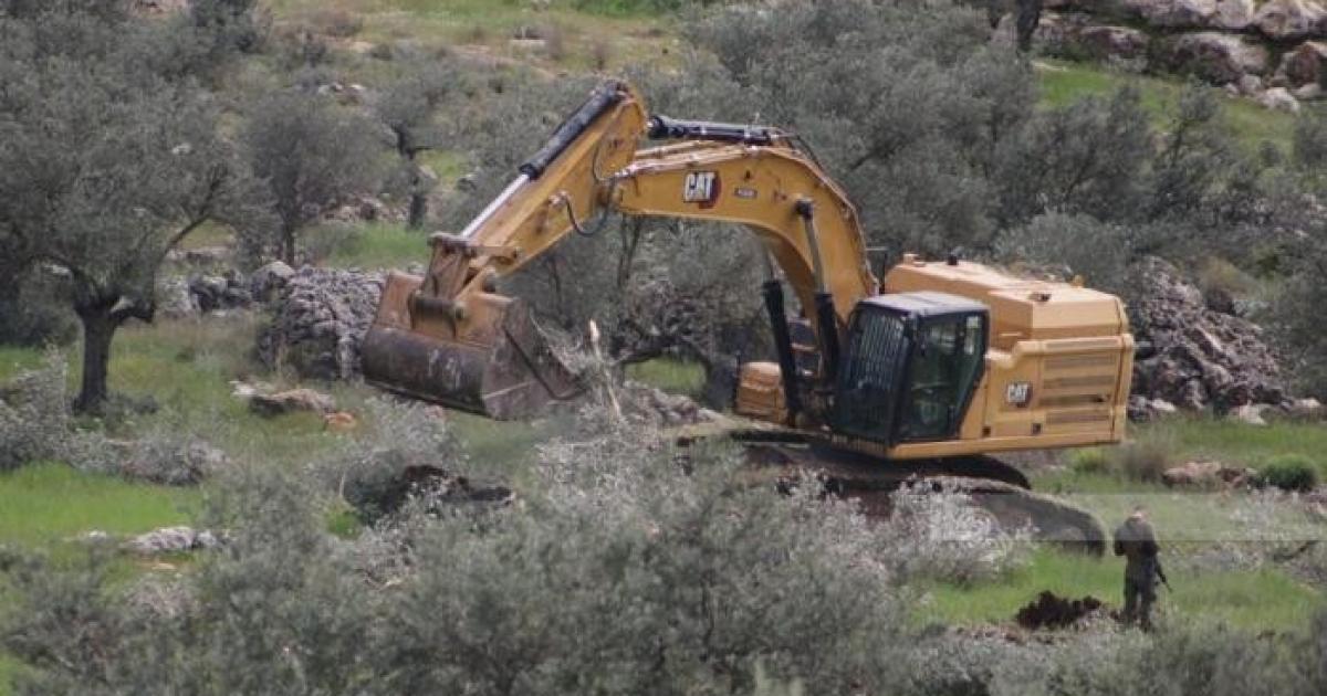 الاحتلال يجرف أراضي في برقة شمال غرب نابلس ويقتلع أشجار زيتون
