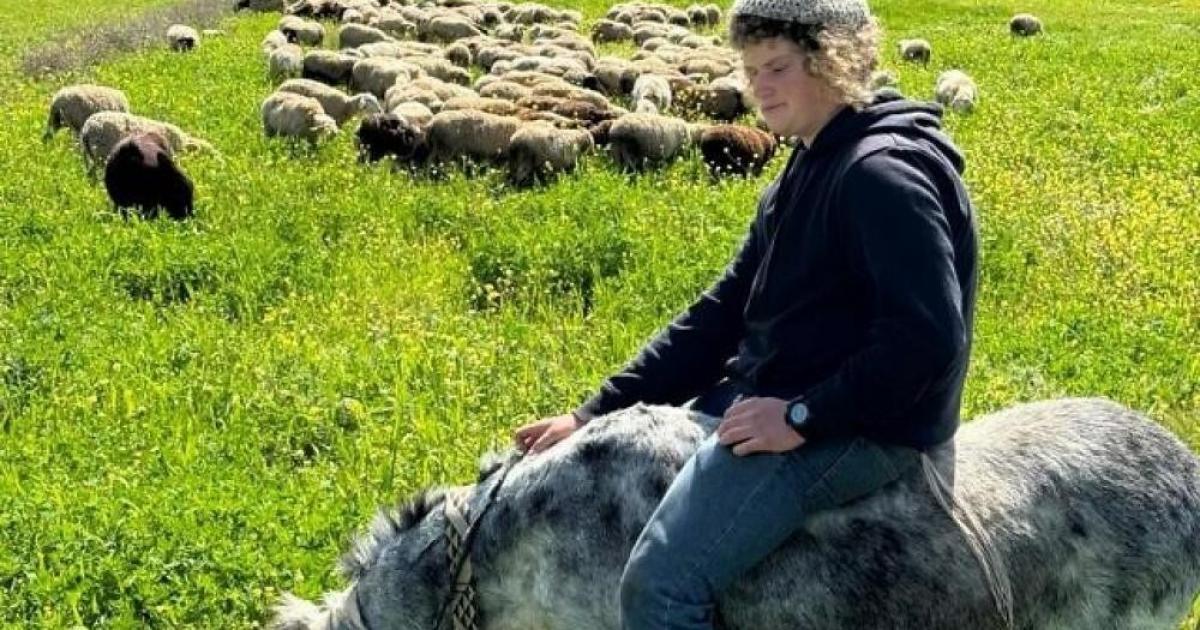 مستوطنون يصعّدون اعتداءاتهم بالضفة والاحتلال يواصل خنق القرى بالإغلاقات