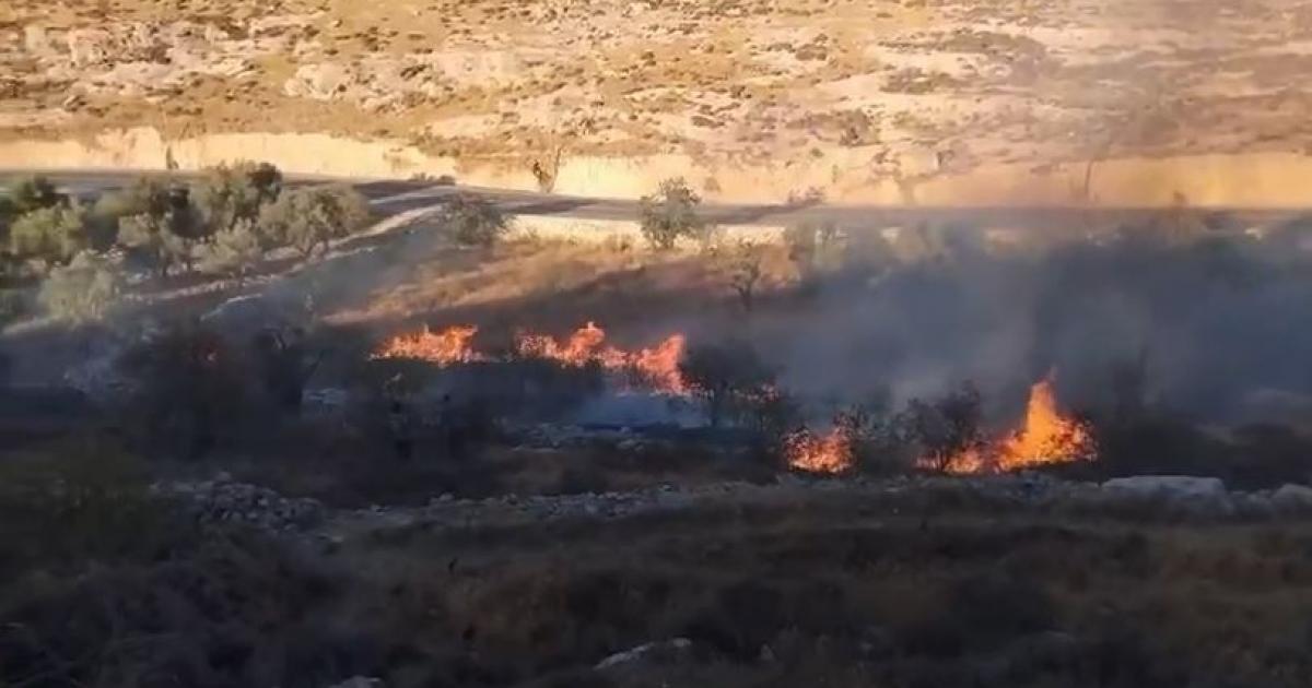 الاحتلال يحرق محاصيل زراعية في المغير شمال شرق رام الله