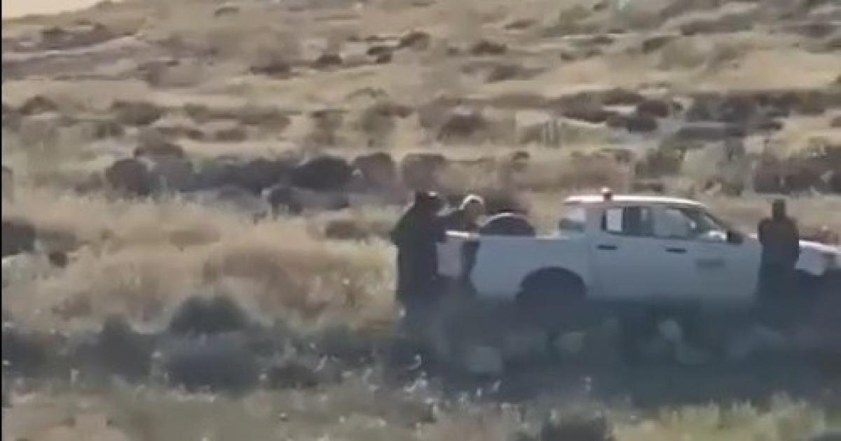 فشل المستوطنون في طرده.. قوات الاحتلال تعتقل مواطنا أثناء رعيه الأغنام في مسافر يطا