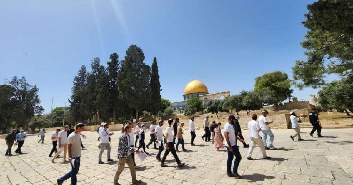 عشرات المستوطنين يقتحمون الأقصى ويؤدون طقوسًا تلمودية
