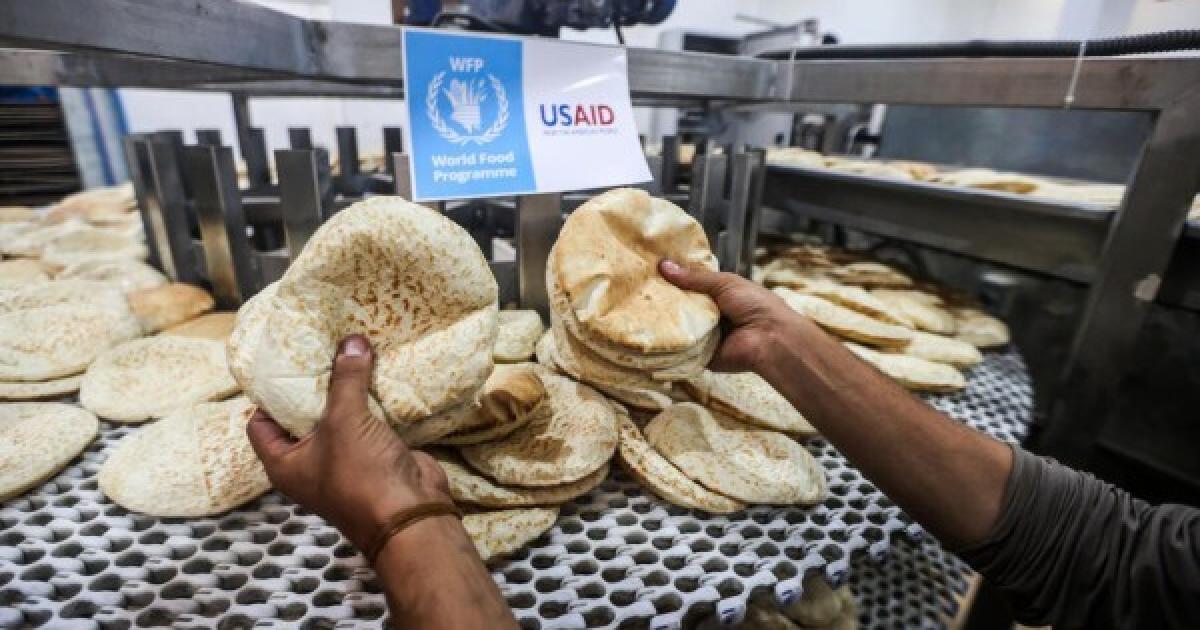 وزيرة التنمية تحذر من شلل المخابز والمطابخ في غزة