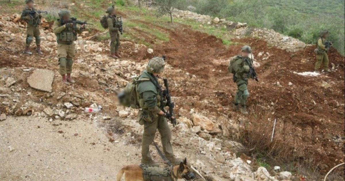 الجيش الإسرائيلي: قتلنا مسلحا أطلق النار علينا على الحدود مع لبنان