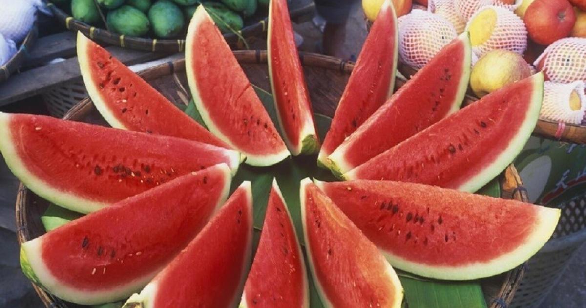 الزراعة: أمراض النباتات ومنها "فيروس البطيخ" لا تنتقل للإنسان