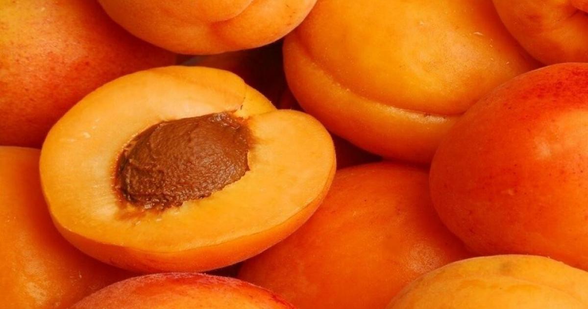 المشمش.. فوائد غذائية مقابل مخاطر عند الإفراط في تناوله