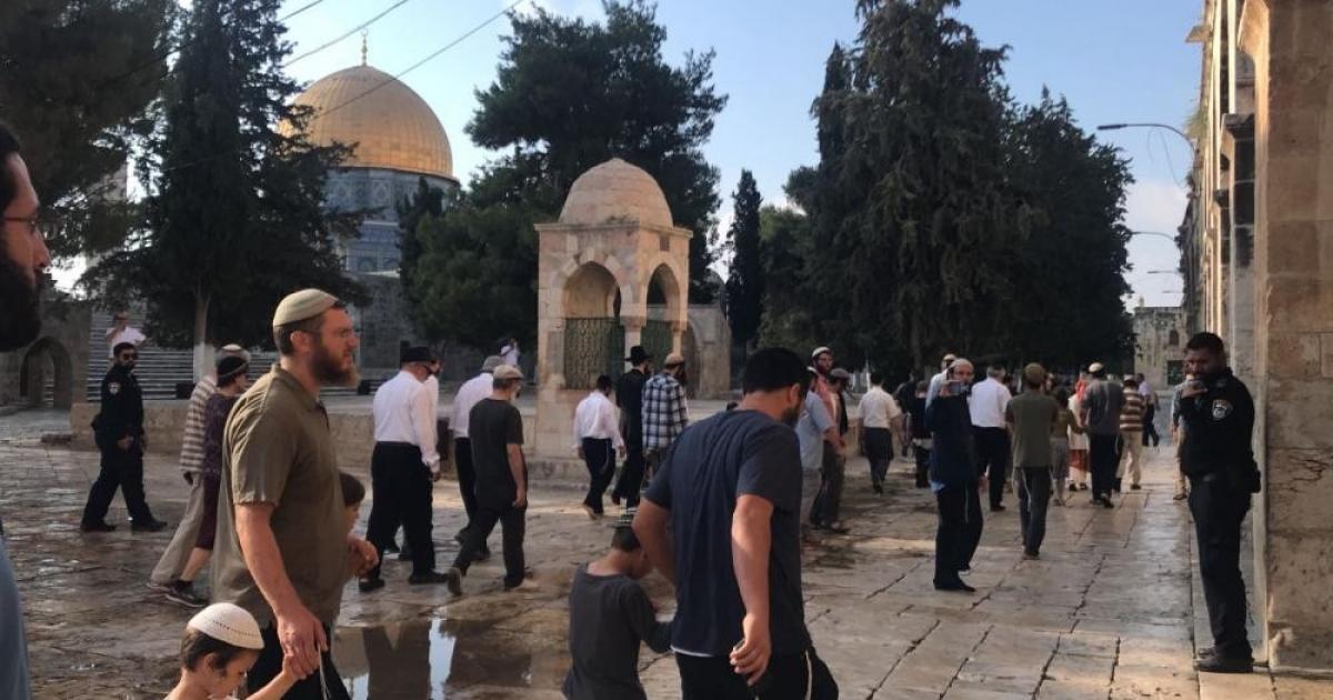 أكثر من 1072 مستوطنًا اقتحموا الأقصى خلال أسبوع