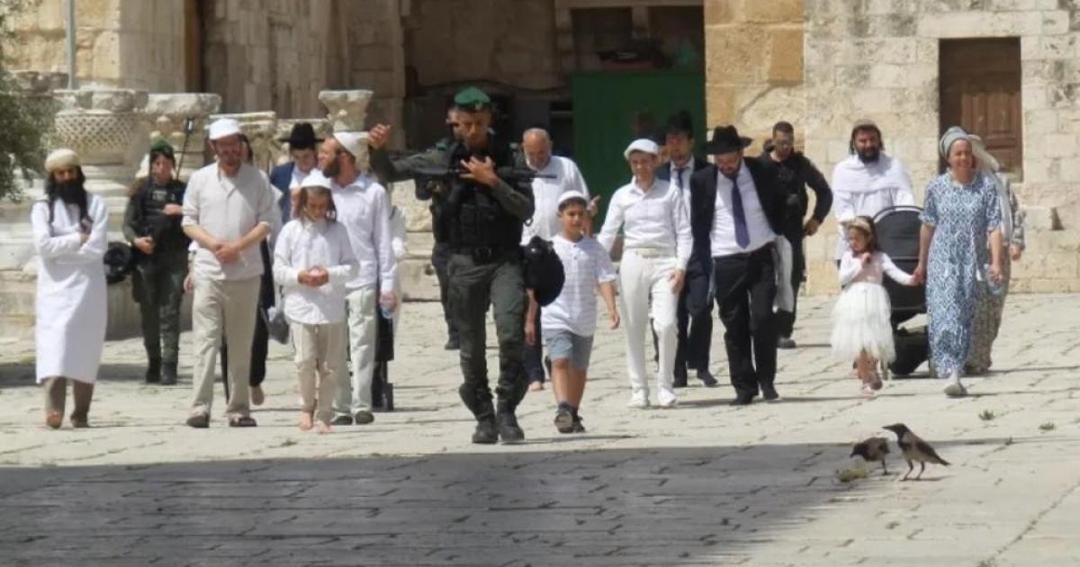 "منظمات الهيكل" تحشد لأكبر اقتحام للأقصى غدًا وسط شعارات تهويدية على جدرانه
