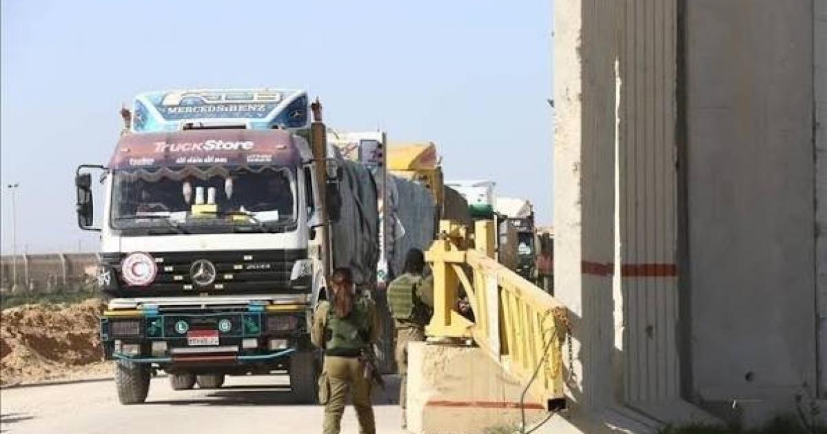 الغارديان: مقتل سائق مساعدات فلسطيني برصاص الجيش الإسرائيلي في رفح خلال مهمة إنسانية