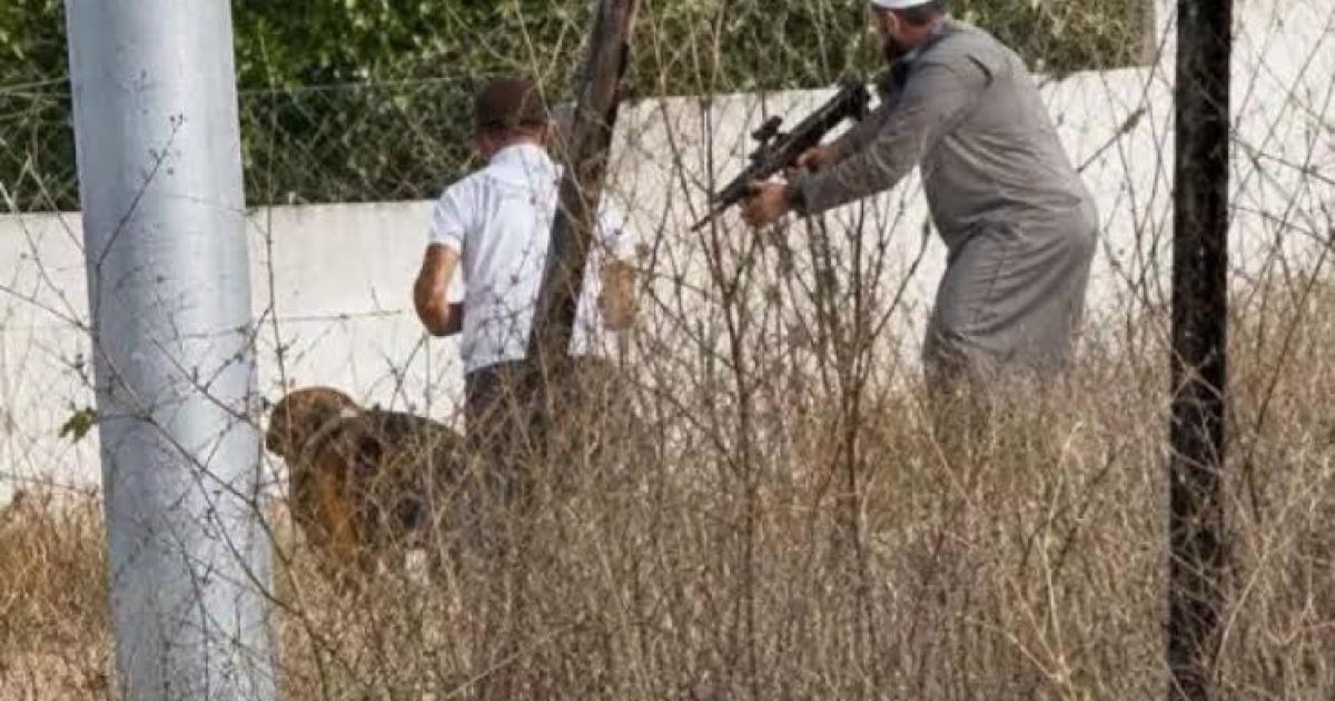 تحقيق في حادث إطلاق النار بقرية تل: مستوطنون وجنديان تجولوا داخلها دون علم الجيش