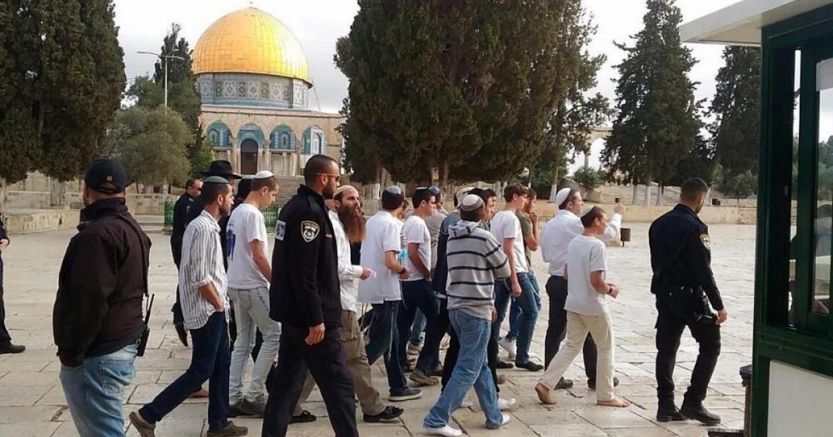 1059 مستوطنًا اقتحموا المسجد الأقصى خلال أسبوع