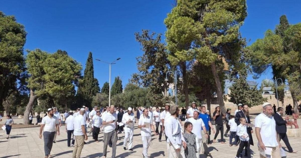 1500 مستوطن يقتحمون باحات الأقصى باليوم الثاني لما يُسمى "عيد العُرش"