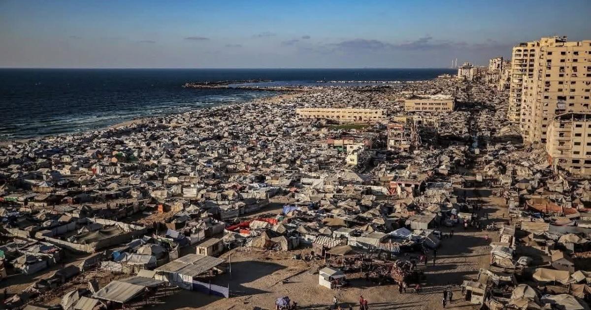 "التنمية الاجتماعية": غزة بحاجة عاجلة إلى نصف مليون خيمة وشادر