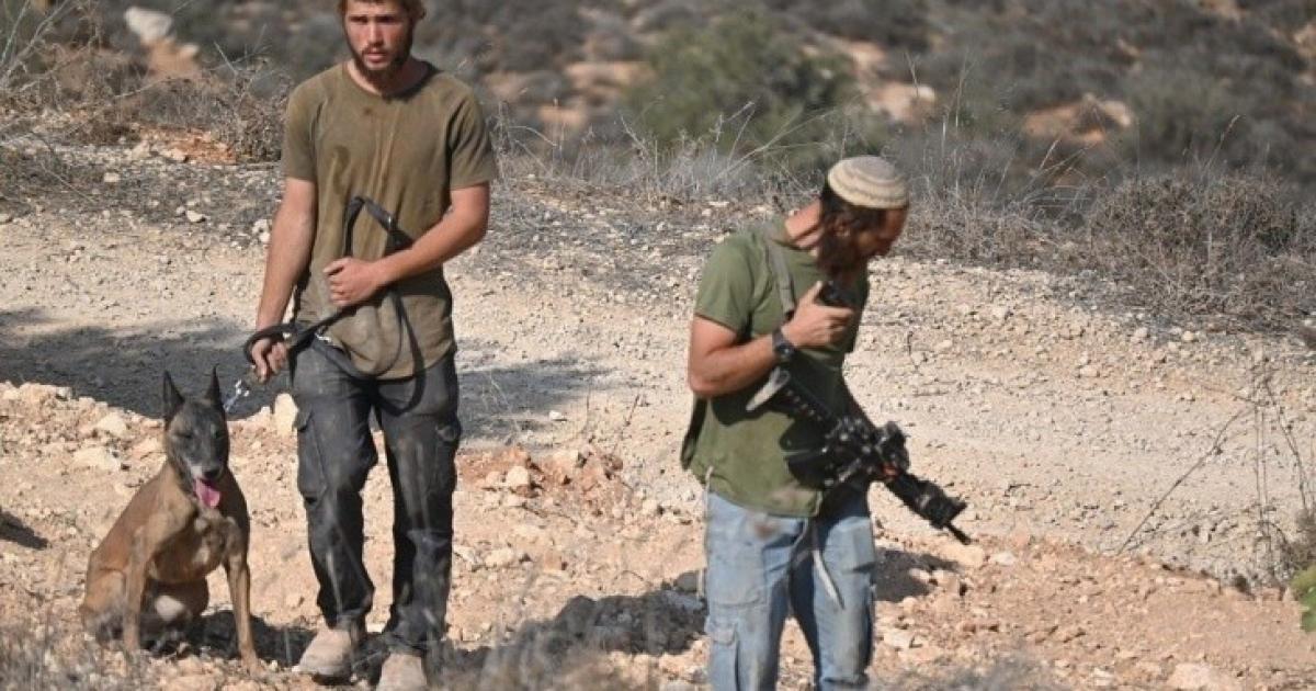 مستوطنون يعتدون على مواطنين من اللبن الشرقية في واد الشاعر