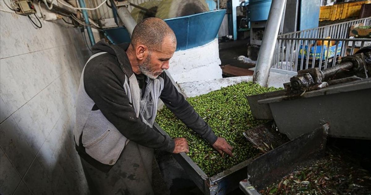 فياض يدعو لإنشاء "بنك للزيت الفلسطيني" لحماية المزارعين وضبط الأسعار