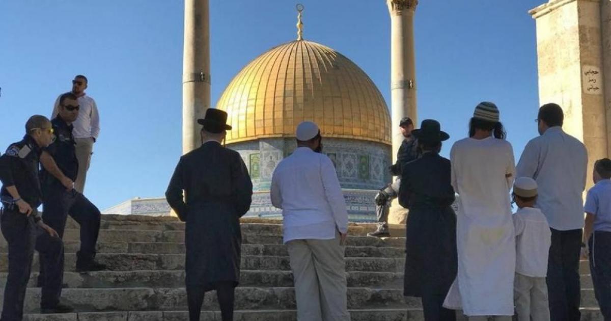 181 مستوطنًا يقتحمون باحات الأقصى