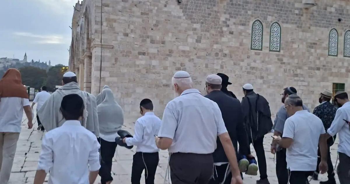 مستوطنون يقتحمون المسجد الأقصى
