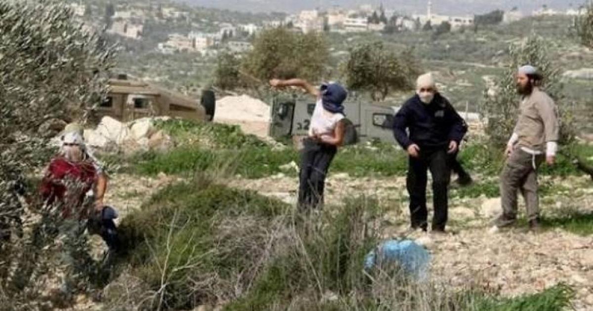 إصابة مواطن واعتداء على مزارعين بتصاعد هجمات المستوطنين في الضفة