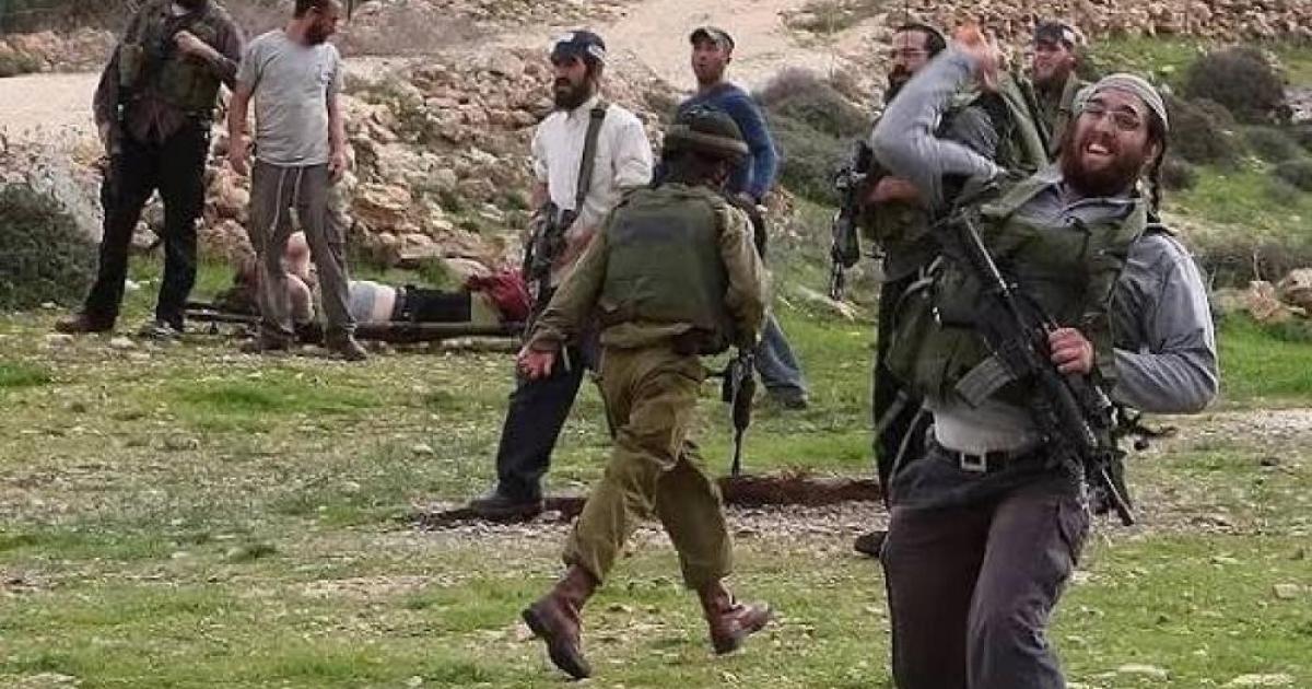 الأمم المتحدة: هجوم المستوطنين على موسم الزيتون أداة لتهجير الفلسطينيين