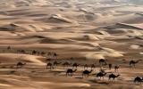 صحراء ابو ظبي