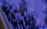 البيرة.JPG-9076ee7e-97d6-4f3c-86d4-05b3812e968d (1).jpeg