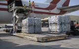 طائرة مساعدات اماراتية لقطاع غزة