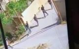 جنين