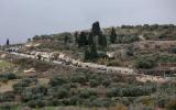 231221_NABLUS_WN_1_00-1-1024x637.jpg