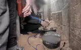 شسيسي2-1714464728.webp