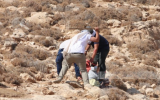 Settlers-volunteer-678x455.png