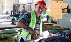 gaza-agriculture-palestine-greenhouses-family-farms-abdulrahman-0S3A6476-EDIT.jpg