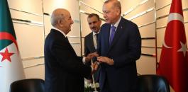 الرئيس التركي اردوغان والجزائر 