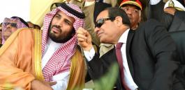 السيسي يمنح ولي العهد السعودي أرضاً تزيد عن مساحة دولة البحرين
