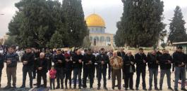 IMG_٢٠٢٠٠٣١٥_١٧٥٠٠٩