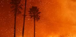 حرائق كاليفورنيا والغابات 
