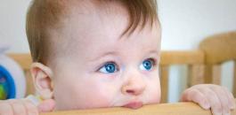 tbl_articles_article_1310_472