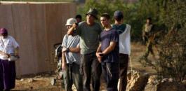 11174400470067823089188357317723