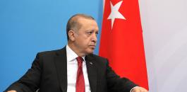 اردوغان والزنا في تركيا 