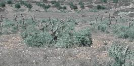 14cb5d03-603c-4ea7-bd98-4381a25910b3