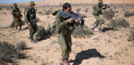 عملاء-اسرائيل-سيناء