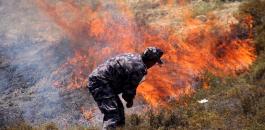 المستوطنون يشعلون النار في اراضي الفلسطينيين 