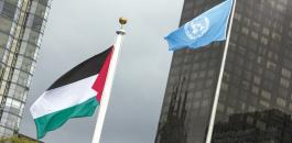 الامم المتحدة وفلسطين 