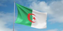 جزائري وبريطانيا 