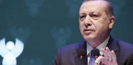 اردوغان والسفن التركية في شرق المتوسط 